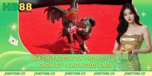 Địa Chỉ Trường Gà Thomo – Lựa Chọn Số 1 Cho Người Chơi
