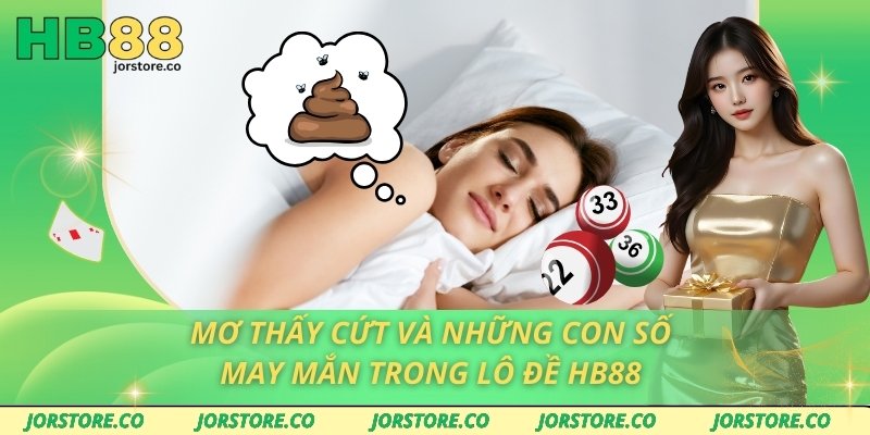 Mơ Thấy Cứt Và Những Con Số May Mắn Trong Lô Đề HB88