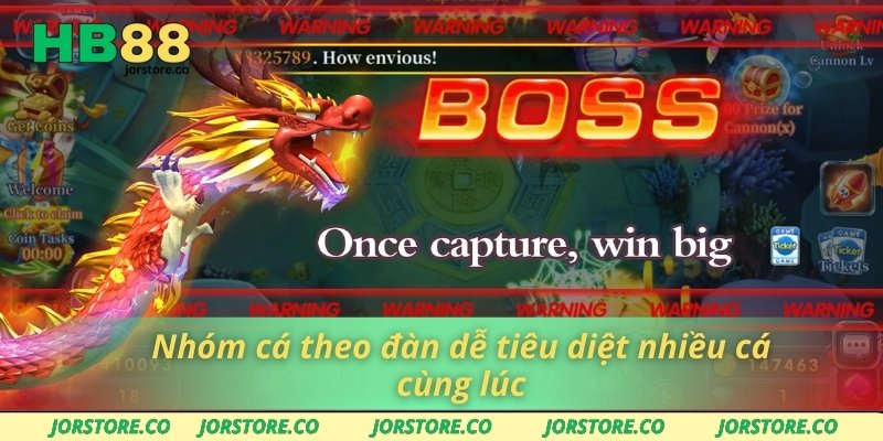 Nhóm cá theo đàn dễ tiêu diệt nhiều cá cùng lúc